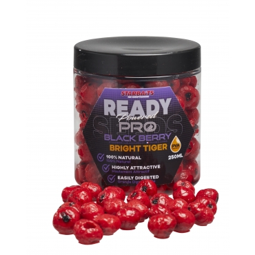 Starbaits Ready Seeds Bright Tiger Blackberry 250ml